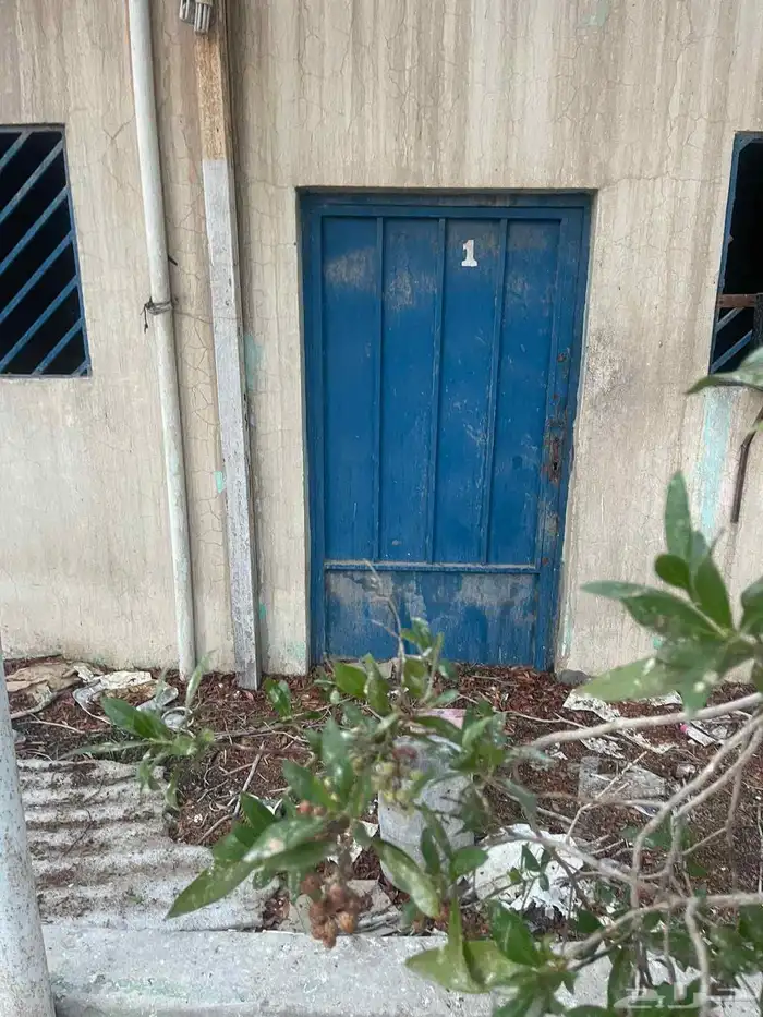 فني حدادة 13