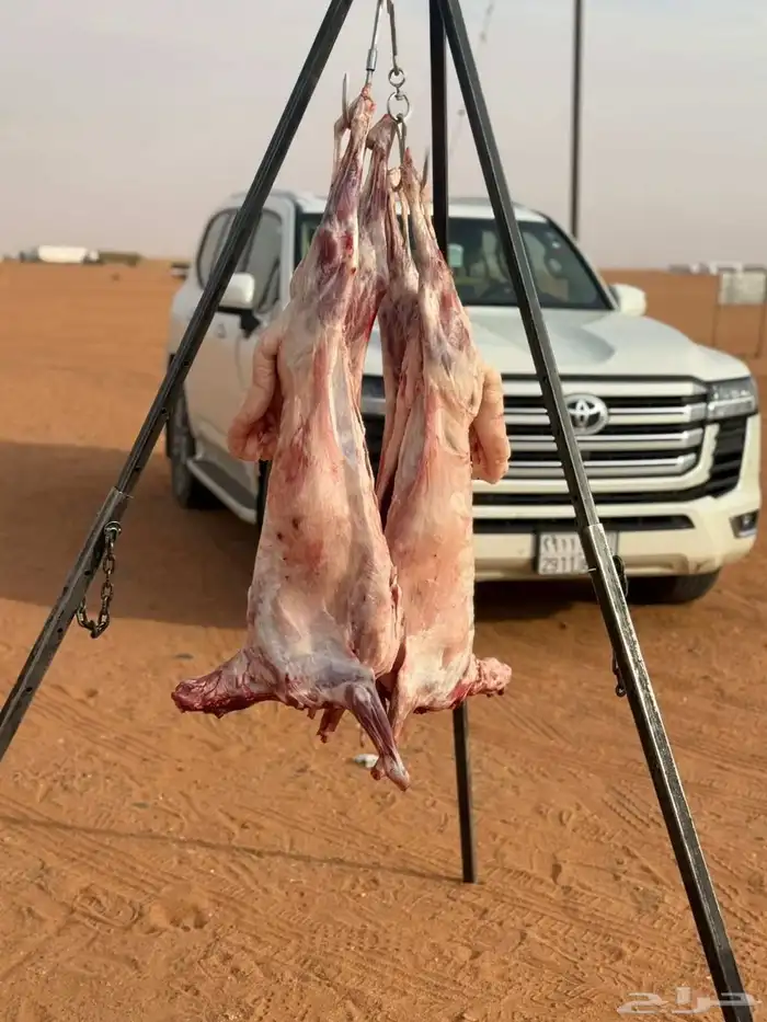 معلم مشويات مشاوي شوي خارجي 0