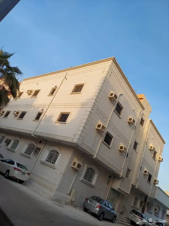 لياسه ملونه بديل الحجر تغنيك عن الياسه العاديه ولبويا وغيرها 8