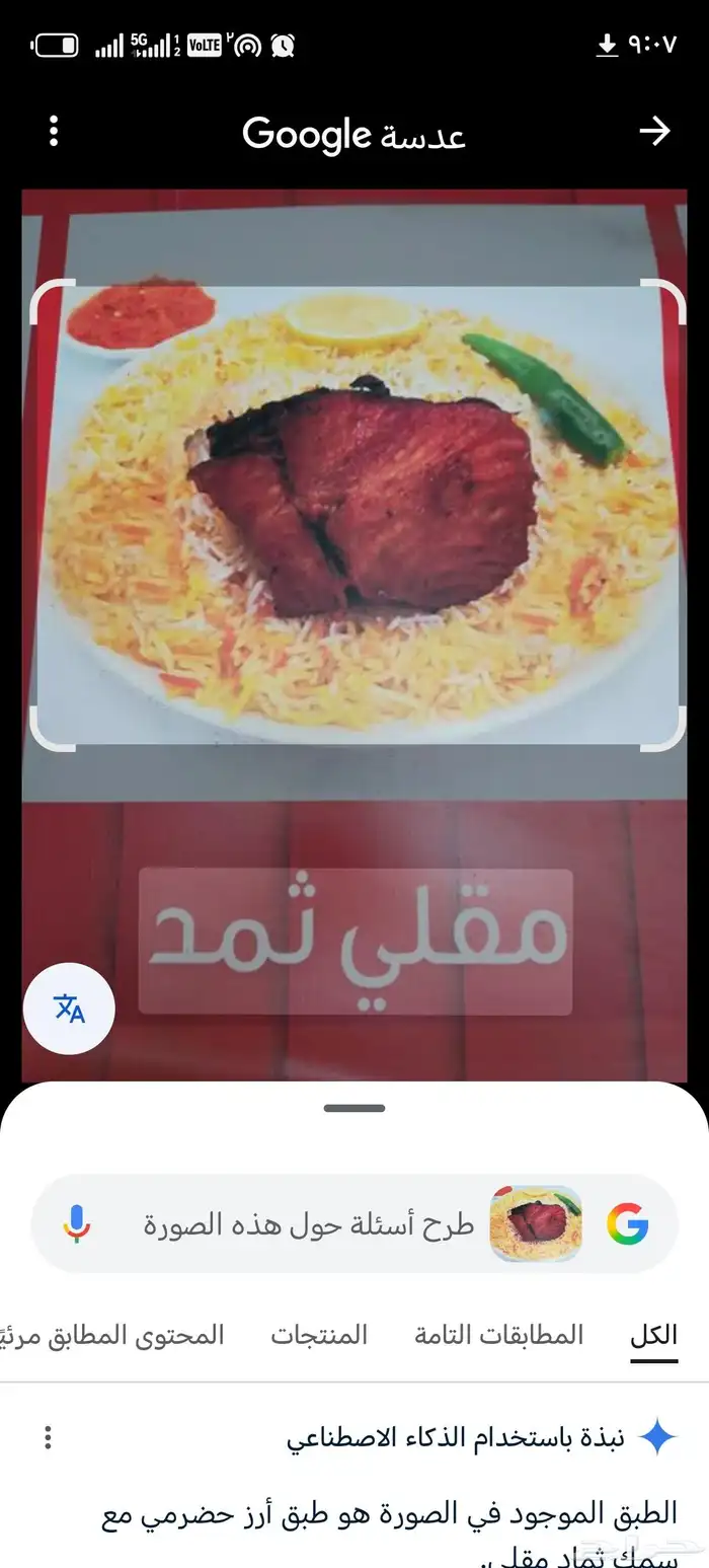 وجبات سمك وجبات دجاج للشركات والمصانع والورش 6