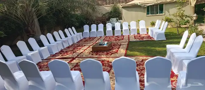 تأجير كراسي طاولات 1