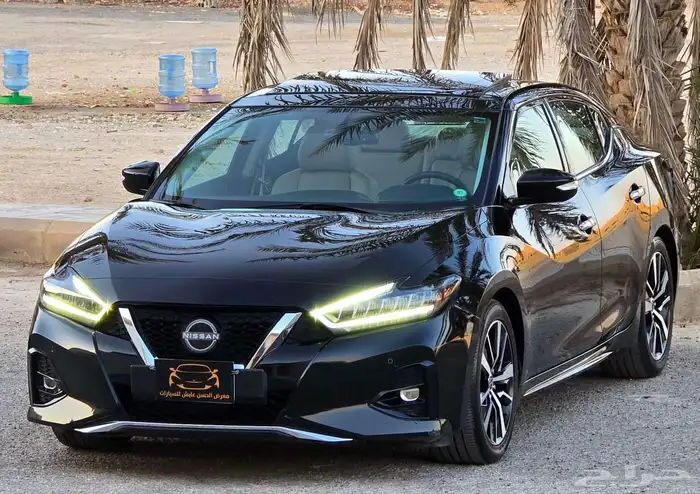 مكسيما 2023 SV 1