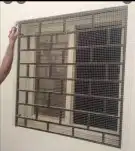 مكافحة حمام بالمدينة 1