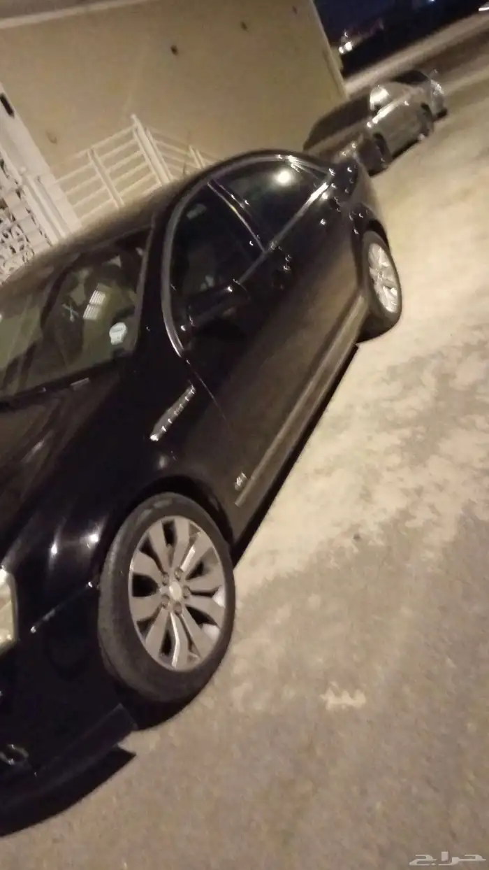 كابرس أمريكي 2013 9