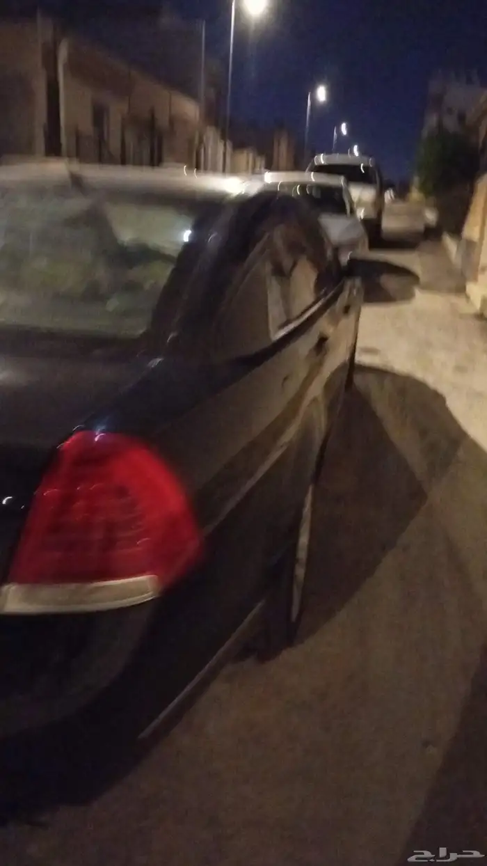 كابرس أمريكي 2013 7