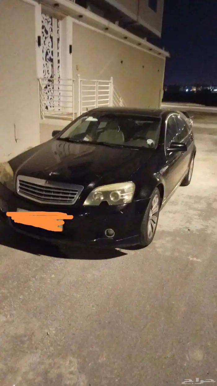 كابرس أمريكي 2013 8