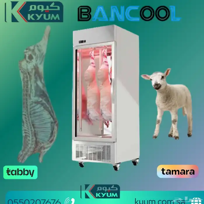 ثلاجات _ثلاجه بانكول تعليق لحوم 4