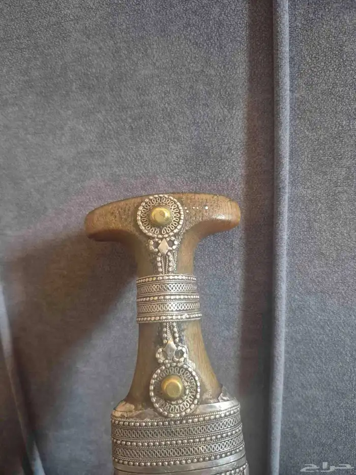 قرن زراف خاص اصلي 1