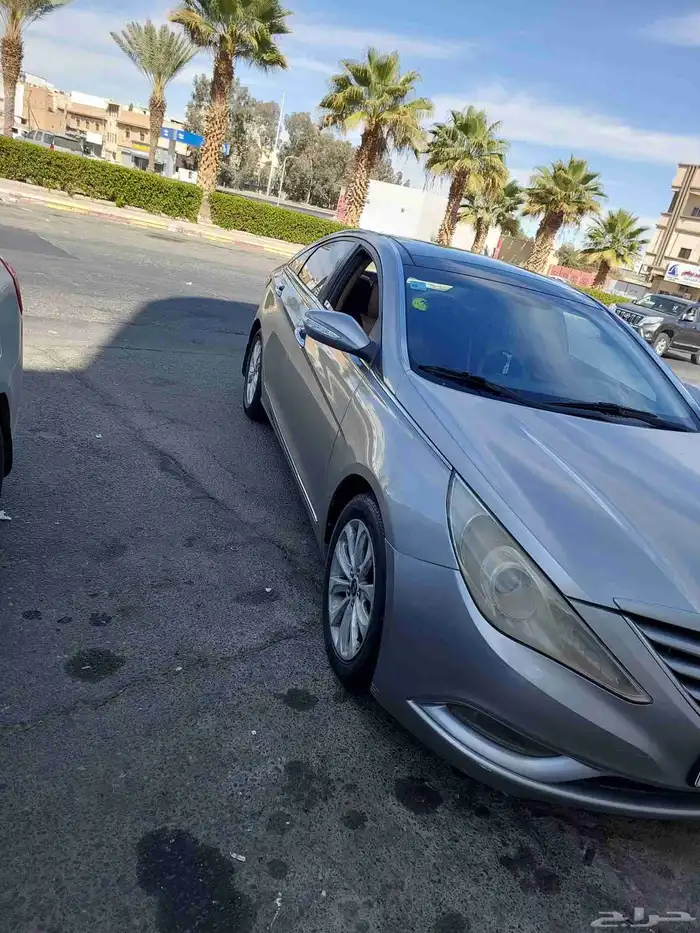 سوناتا 2013 14