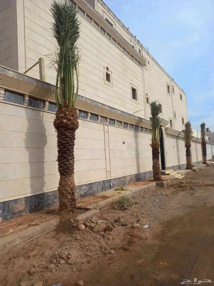 نخل نقوم بتوريد جميع انواع إنخل 2