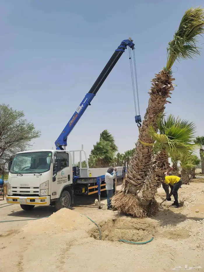 كرين ونش بوم تراك في الدمام 6