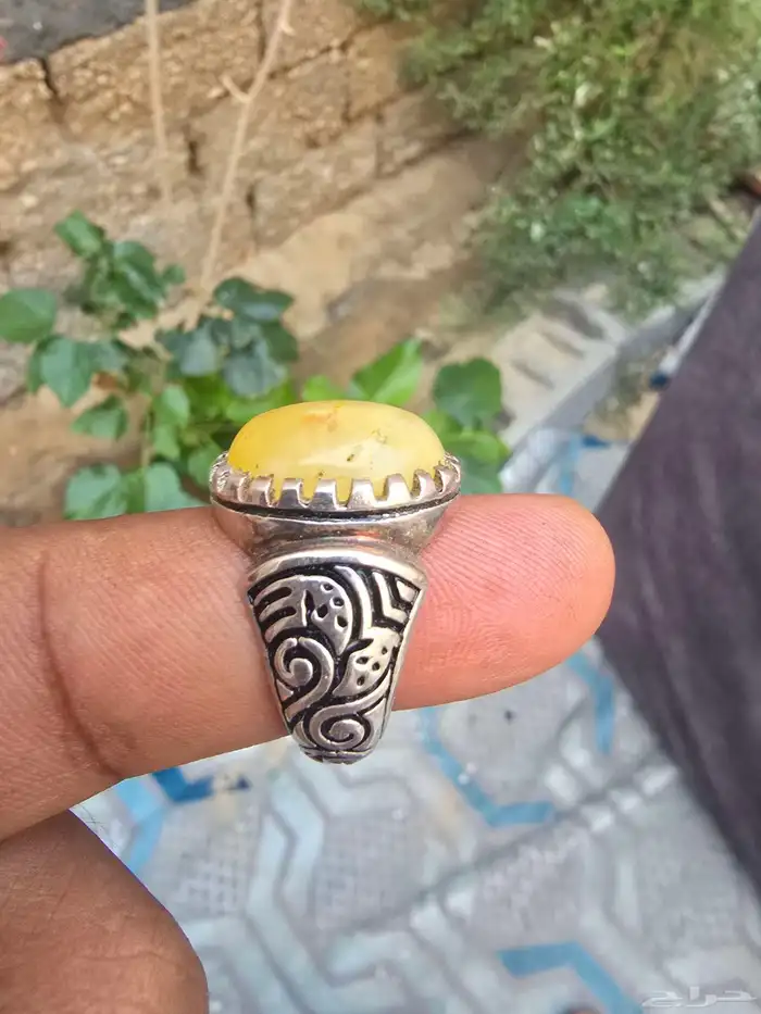 خاتم شرف الشمس 3