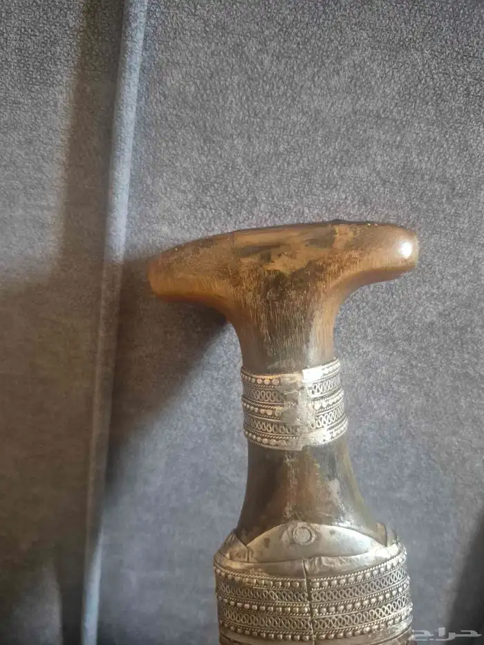 قرن زراف خاص اصلي 0