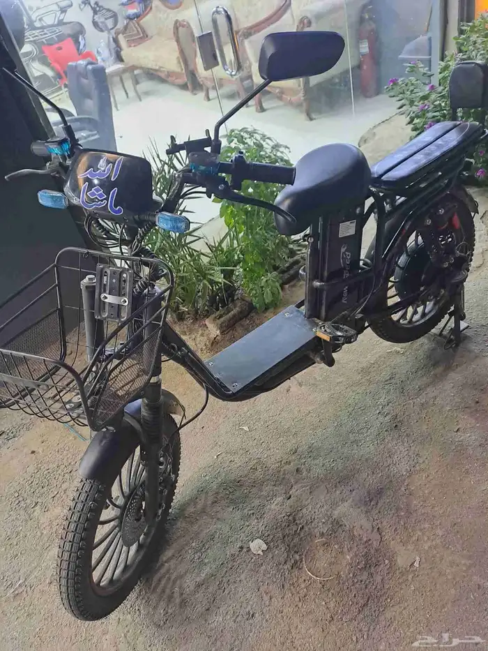 ابو حجر اسكان رماده 0