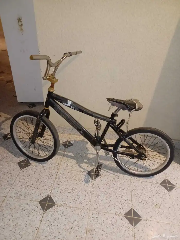 يبيلها جنزيرين وللبيع 0