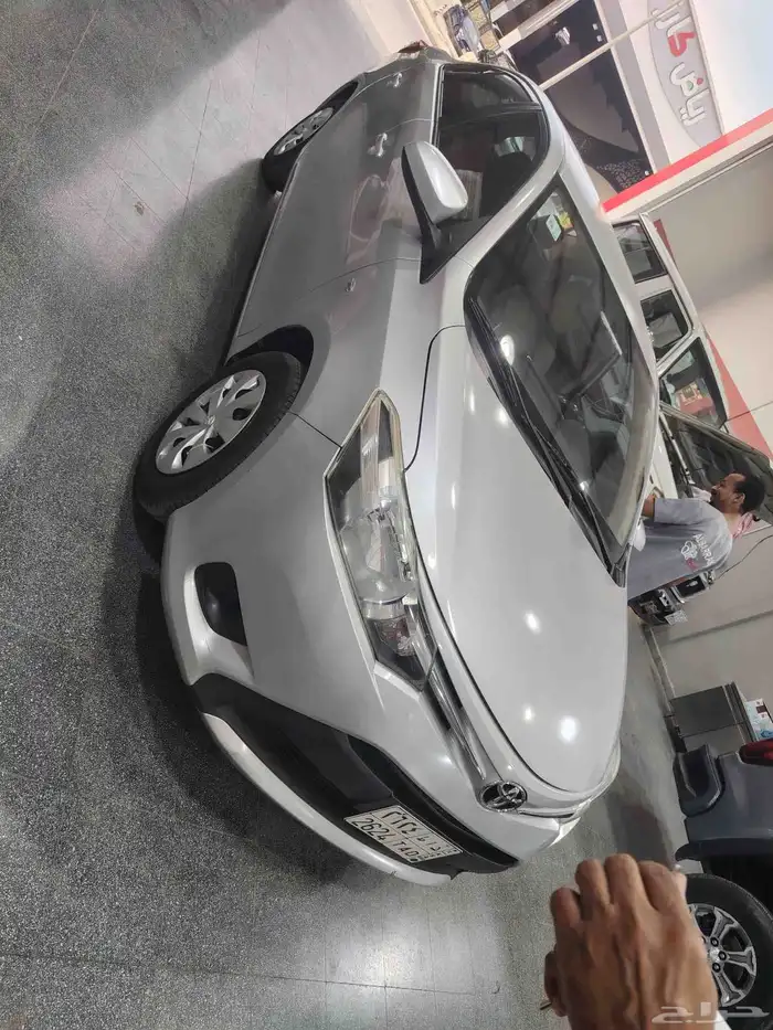 مفحوص مجدد 1