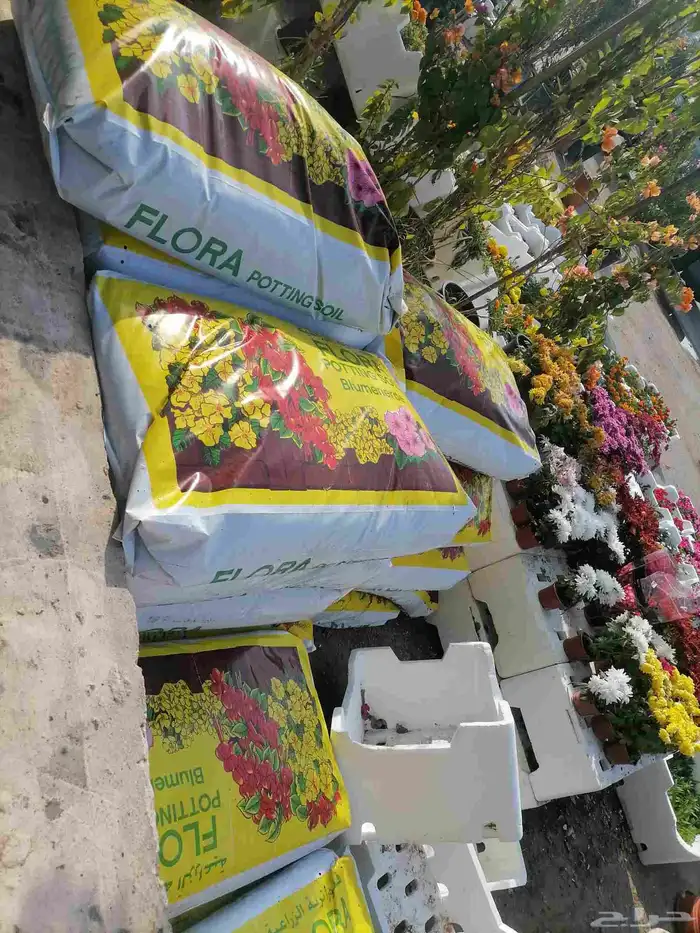 سماد عضويه الاماني سماد بقره عادي وزرع طبيعي 4