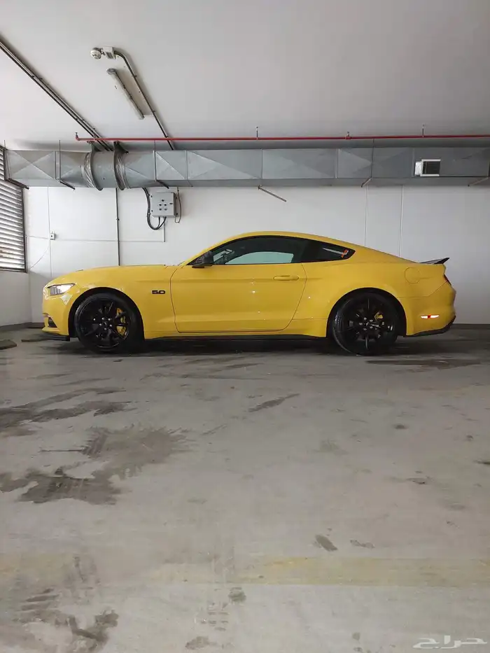 موستنج 2015 بريميوم 8