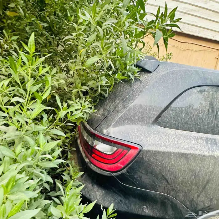 درانجو 2014 استاندر 5