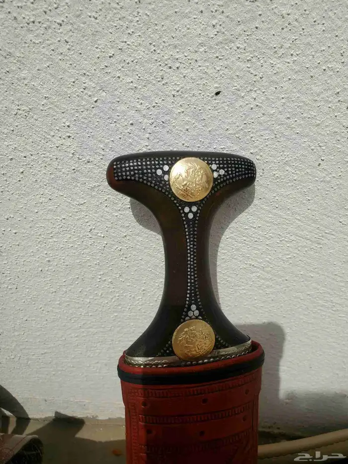 جنبيه قرن طبيعي 2