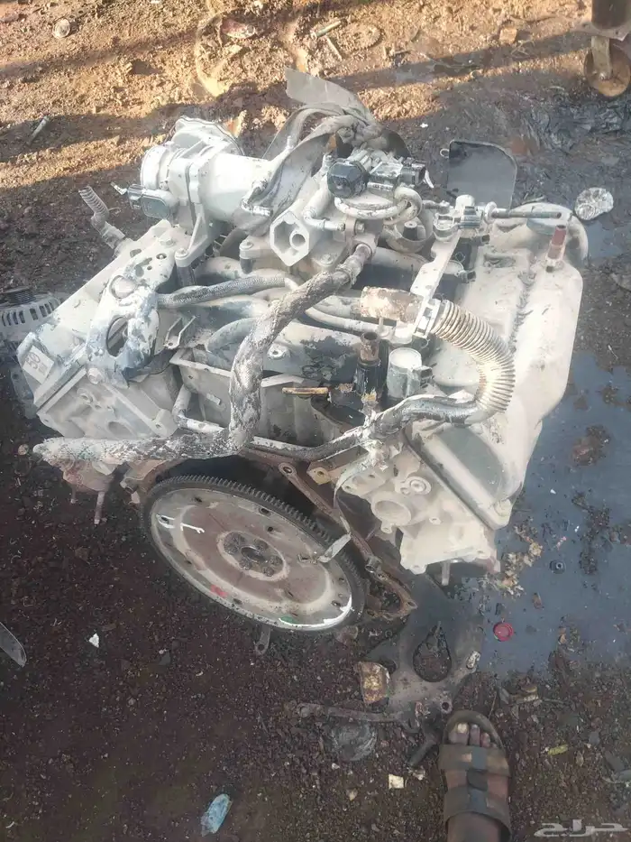 فورد فكتوريا موديل 2008 0