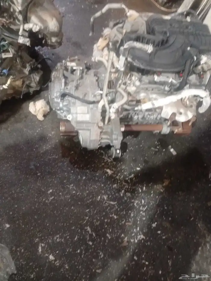 قيرات اكورد مستورده 2019 5