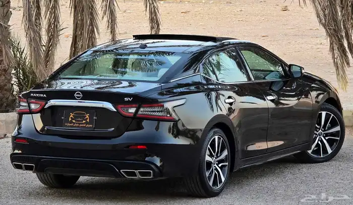 مكسيما 2023 SV 7