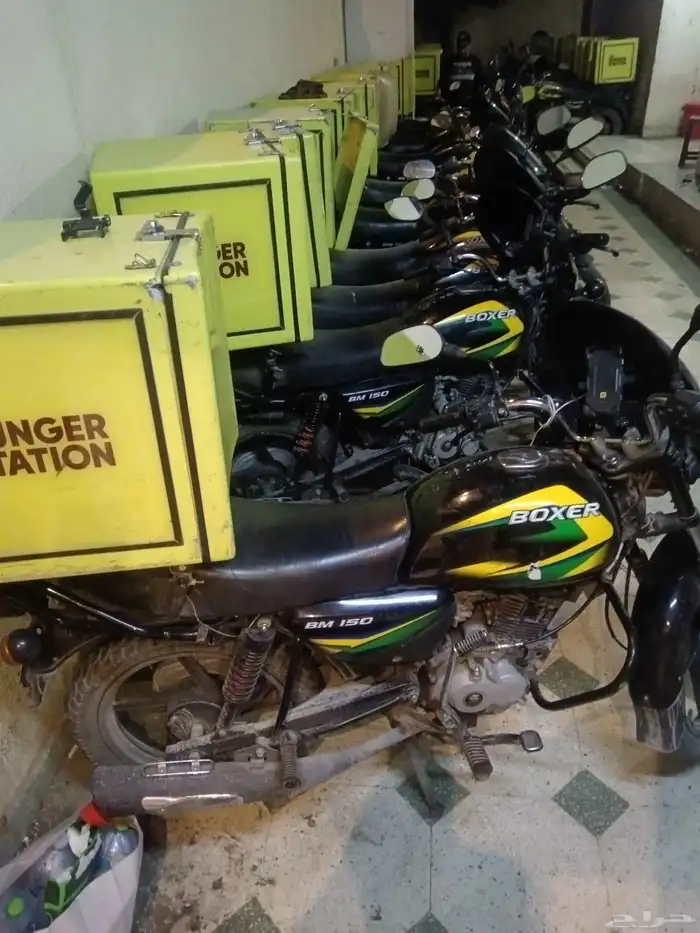 بوكسر 2024 - 2025 0