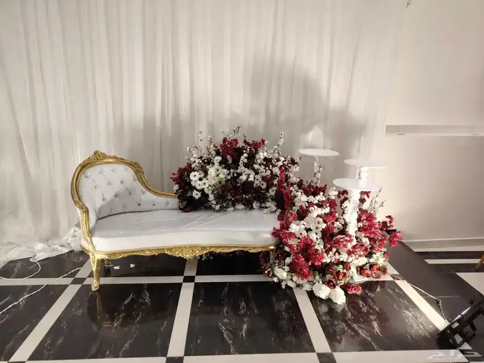 كوشة البارونة الطائف 2