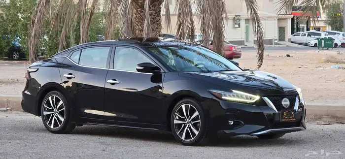 مكسيما 2023 SV 8