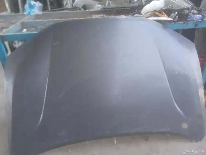 كبوت جيتور داشنج 2022-2025 0