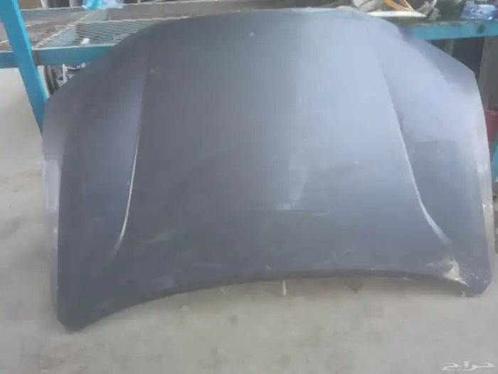 كبوت جيتور داشنج 2022-2025 1