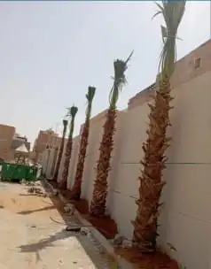 اخوات فايبر قصه اشجار خشب مضلع صيانه لاي شيء في الزراعه 9