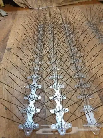 مكافحة حمام بالمدينة 0