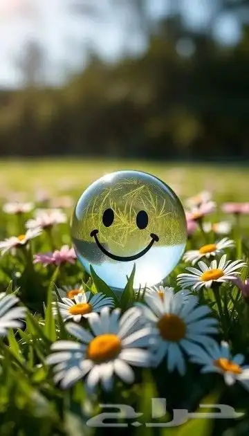 أحتاج ممول برأس مال في مشروعين تجاره مضمونين 0