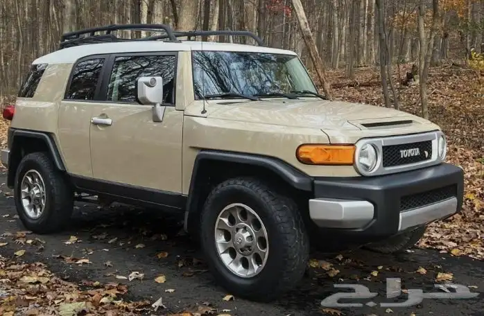 مطلوب مطلوب افجي 0