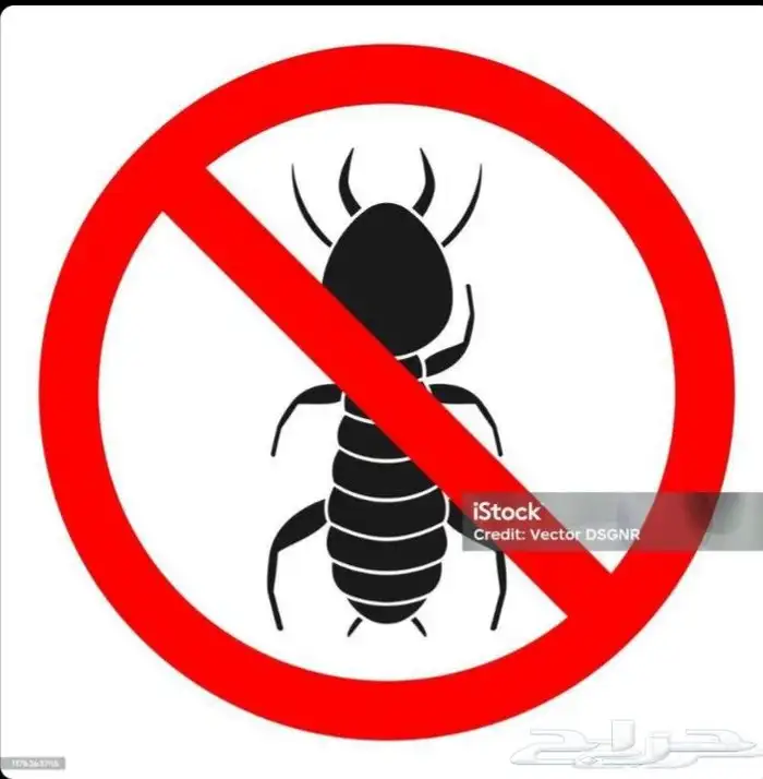 ادوات رش حشرات مكافحة الصراصير البق النمل بالمدينة المنورة 0