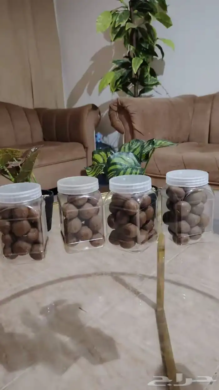 ام نون للنقش و الدلكة السودانية الغنية عن التعريف الاصلية 0