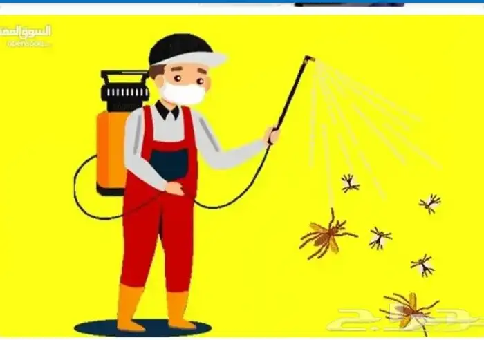 ادوات رش حشرات مكافحة الصراصير البق النمل بالمدينة المنورة 1