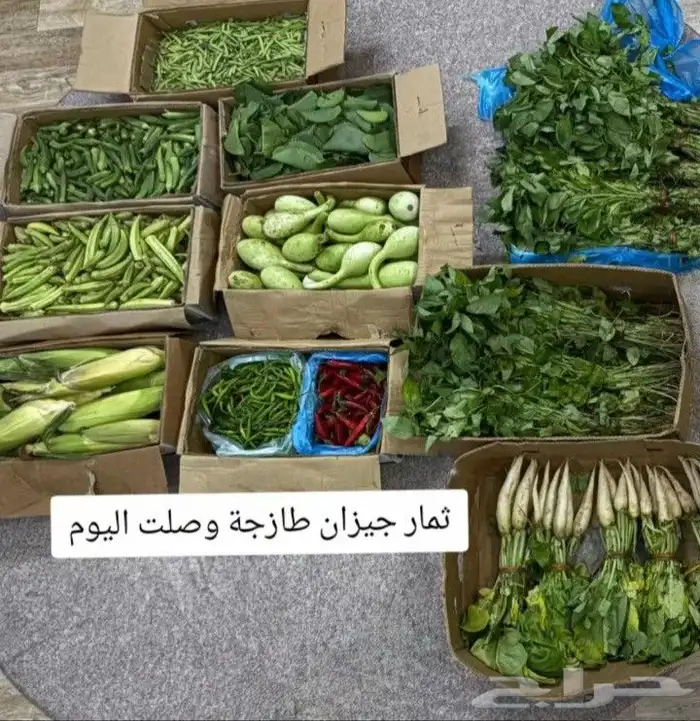 ثمار جيزاني طازجة وصلت اليوم 0