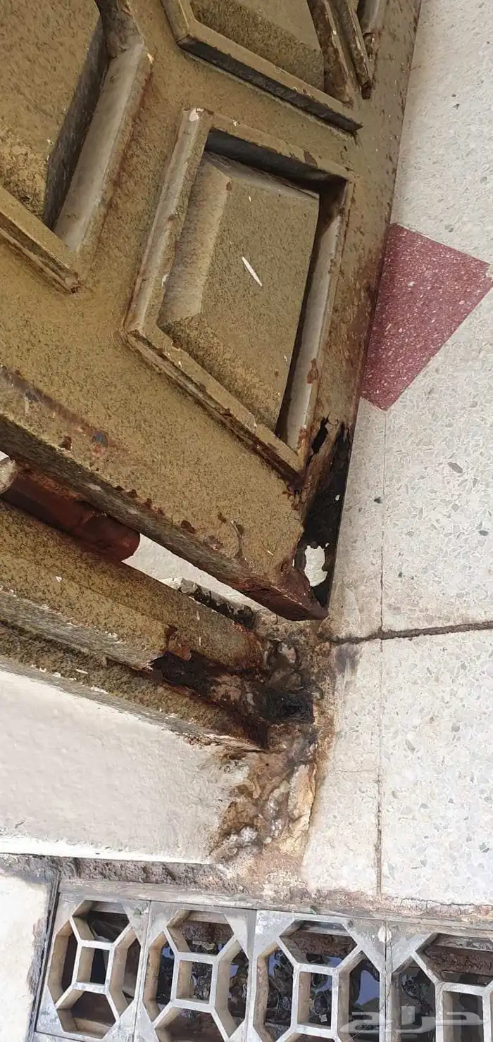 فني حدادة 15