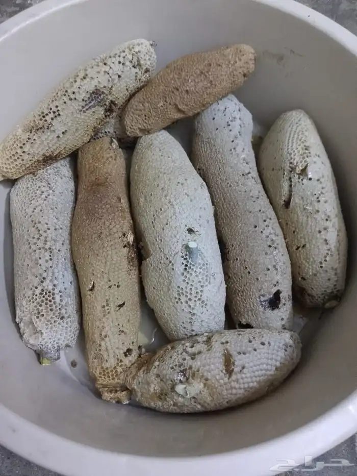 عسل حر طبيعي 0