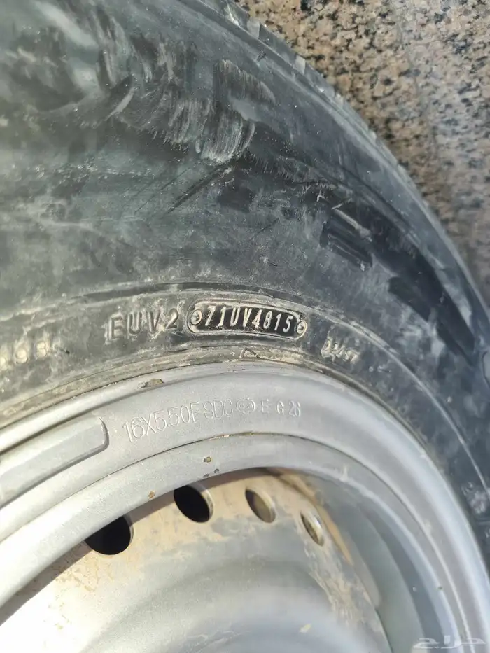 جنوط جيب شنبر 9