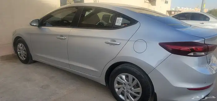 النتراء 2017 4