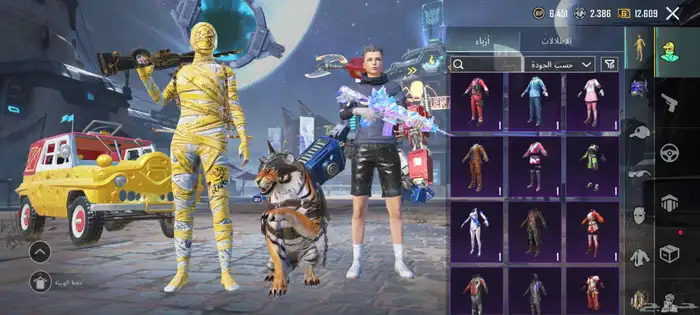 حساب ببجي للبيع السعر 200 التواصل واتساب 13