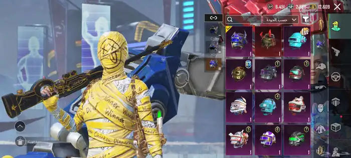 حساب ببجي للبيع السعر 200 التواصل واتساب 17