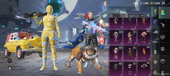 حساب ببجي للبيع السعر 200 التواصل واتساب 8