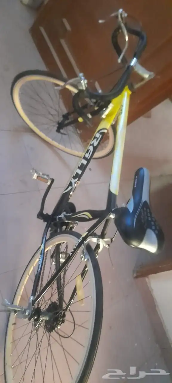 دراجة فرنسي 2