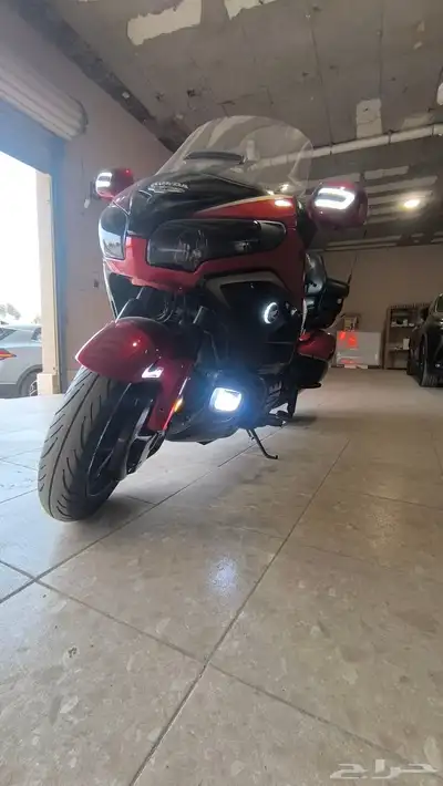 قولد وينق بلاك اديشن كودرد index