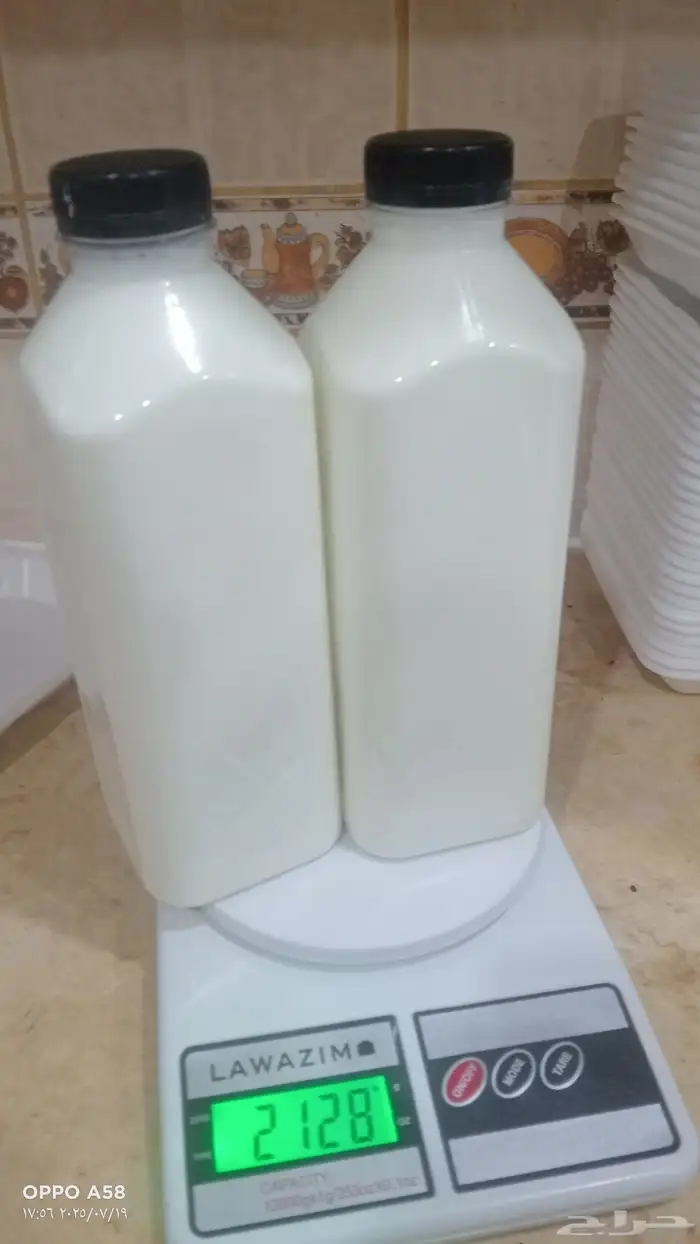 حليب غنم طازج و جبنة بيضةنابلسية وعكاوي اعداد المنزل مكفوول 4